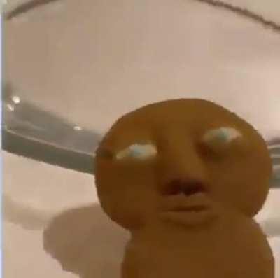 This is the most video ever