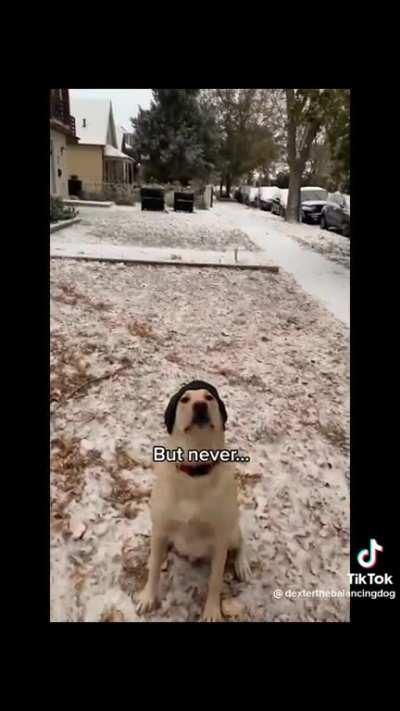 😰😱😱 this is wild!