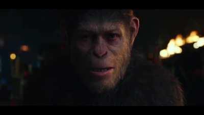 After the MOASS and Market Crash...