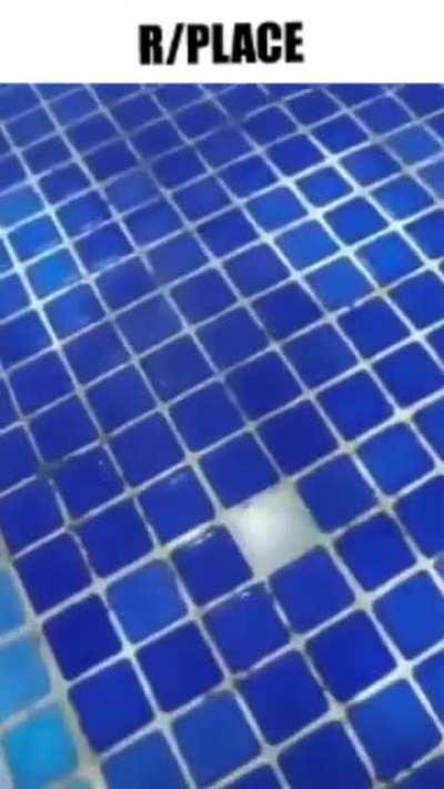 The r/place experience