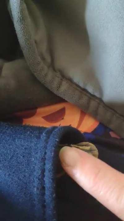 Happy Sunday from Mr Sauron