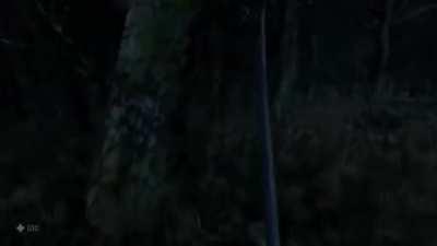 Zach Screaming for Almost a Minute