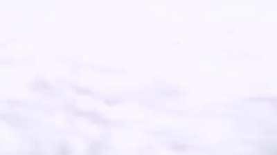 A leviathan appears out of the vast blue