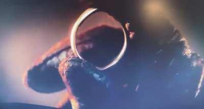 I’m sorry, but I’m also not sorry at all.