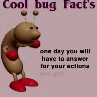 Cool bug facts 