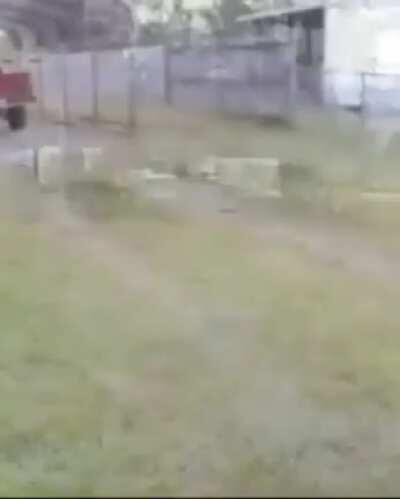 hot asian waifu 😍😍😍🤤🤤