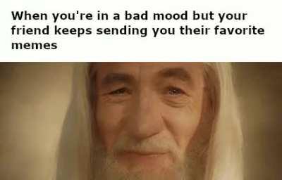 Good memes and good friends make life more fun