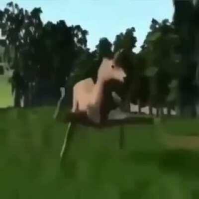 Deer dance to nights 😳