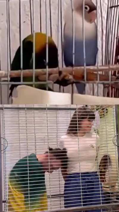 Men, this is how flirting should be done properly take notes 👏