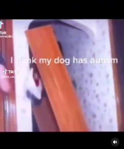 Someone said this fits here