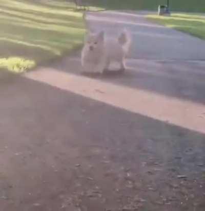 Today has been a total shitday for me. That made me smile