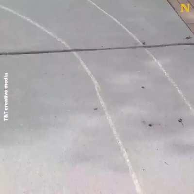 Neighbour and this little kid! 💚