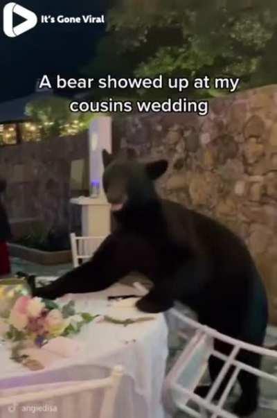 Getting married in Skellige..