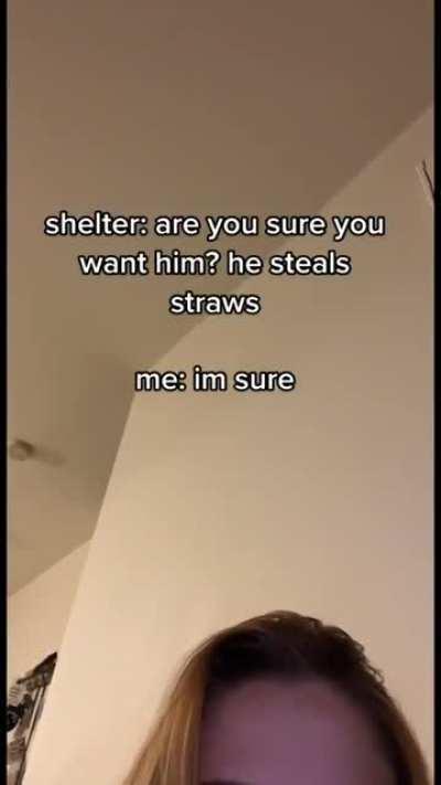 He's a little straw thief