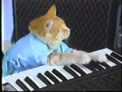 have a keyboard cat for your trouble (Rule)