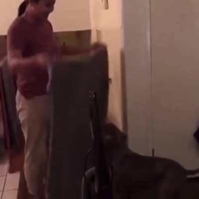 And this is why you shouldn't jump off the stairs!