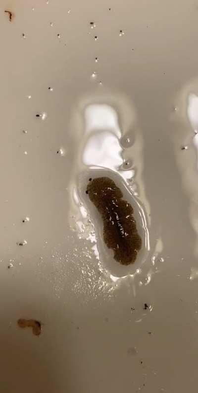 Went out to eat sushi and this was in the sink in the bathroom.