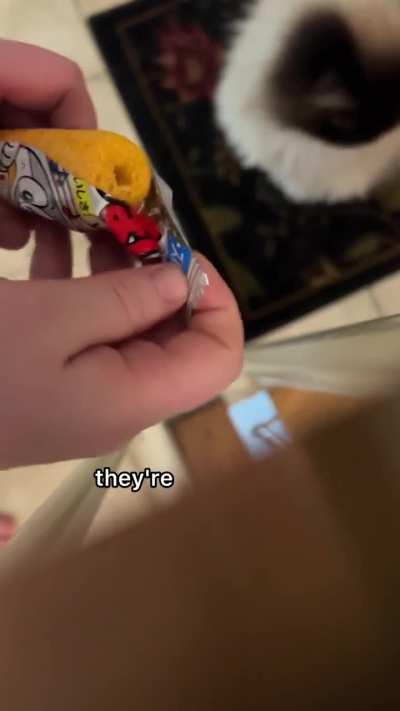 happy noodle day!! 🥳🎆