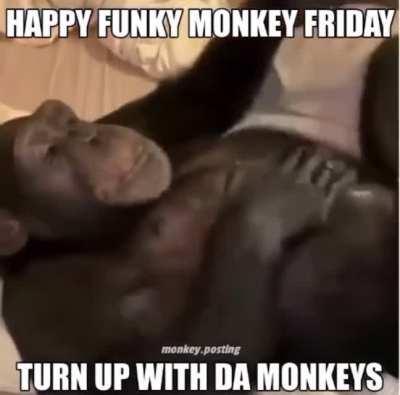 pain monkey friday 😔