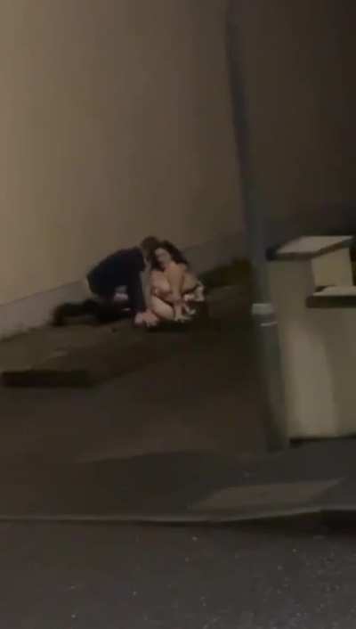 The fence survived many things except this...