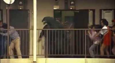 Me scurrying to theaters in Japan on November 3rd cause I can’t wait till December 1st in America