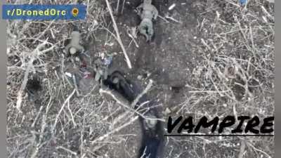 We present the second compilation of the top posts on r/DronedOrc. So that the new year will be better, the Russians will be far away and Ukraine can live in peace again. Slava Ukraini, heroyam slava! 🇺🇦