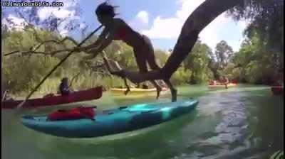 HMC while I jump this log