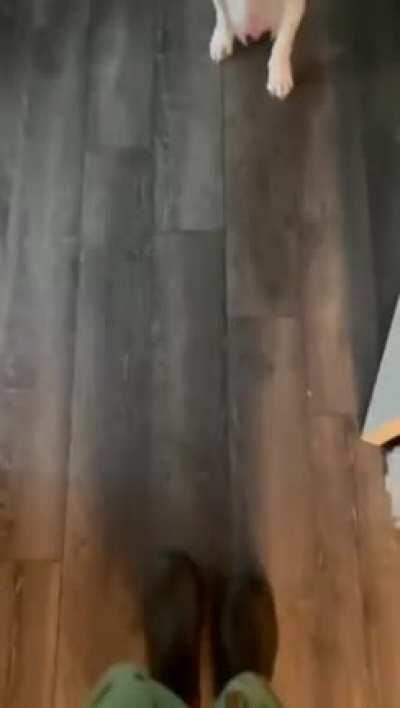 Walter getting harassed