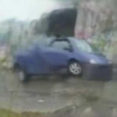 Twingo singing Dame Na De