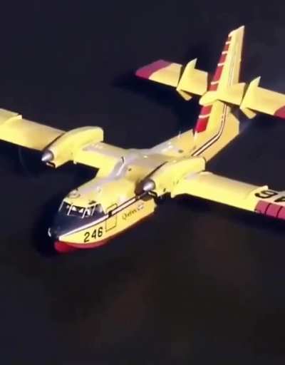 Canadians are showing their heroism in Los Angeles... Thank you...🇨🇦