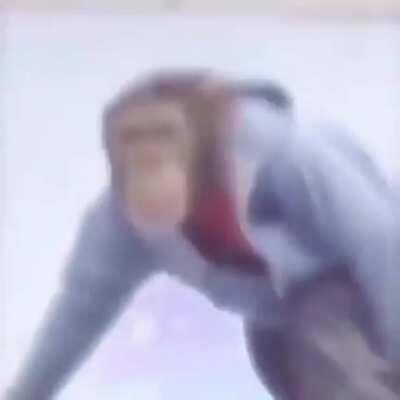 Monkey skate vibing edition