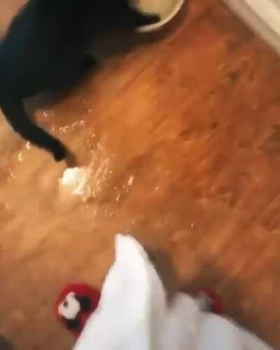 That's how you drink water all right