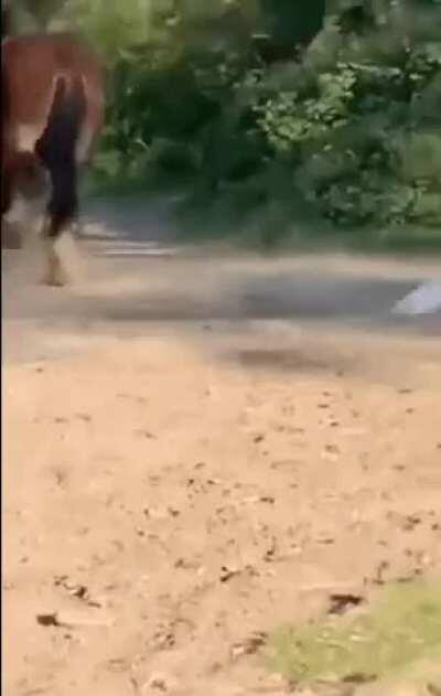 Messing around? That’s what you get!