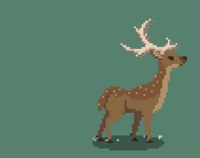 [Art] Wild Shape Pixel Art Animation