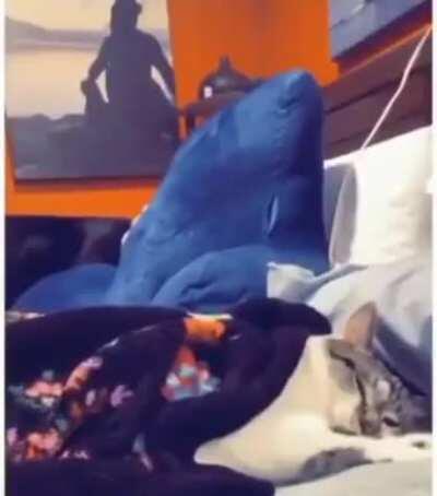 Time to wake up....!