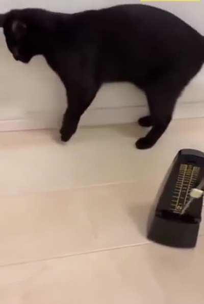 Metronome mini startles