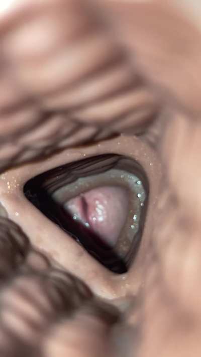 Cumming inside a tentacle [Creature, WD]