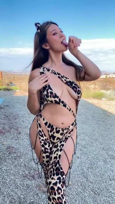 you think you could tame this kitty? 🐱