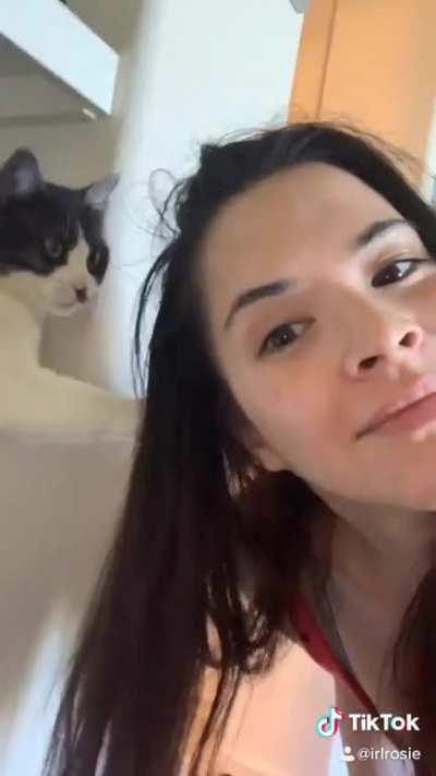 I made a commercial 🤣🤣🤣