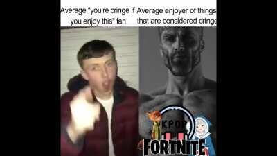 Average fan vs average enjoyer