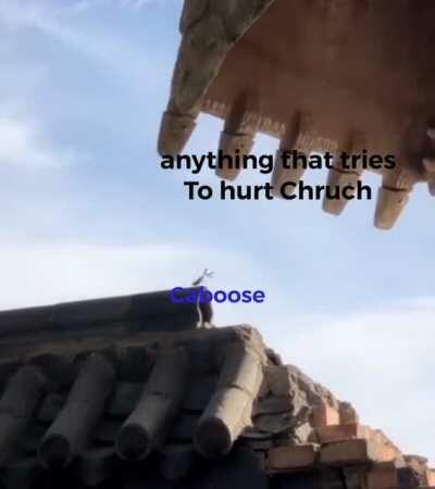 If this ain’t canon then idk what is