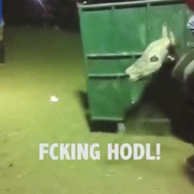 Hodl! 😁