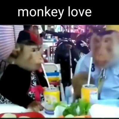 Where did they get the money tho?