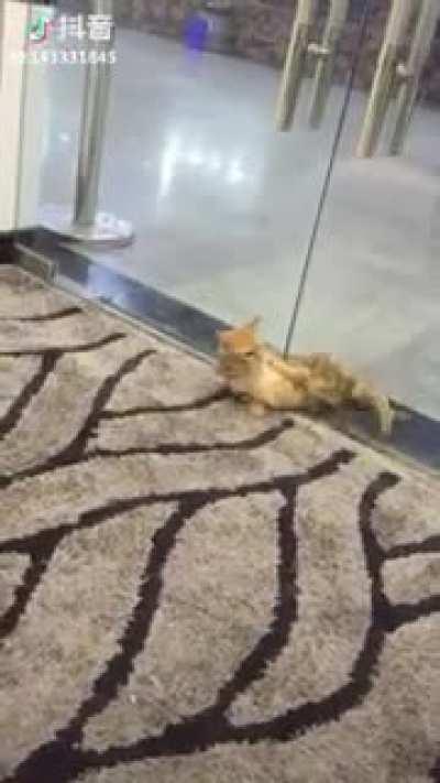 If I commits... I fits...