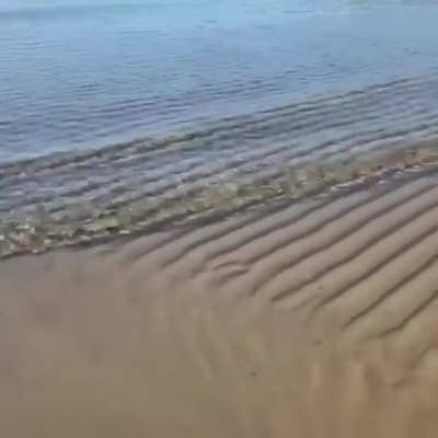 Waves creating sand patterns in the riverbed