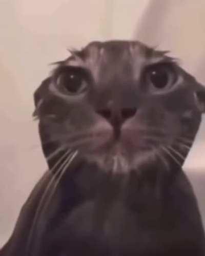 I’m in love with my ca- wait I need to take my pills brb