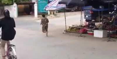 Vietnamese granny fight 😂