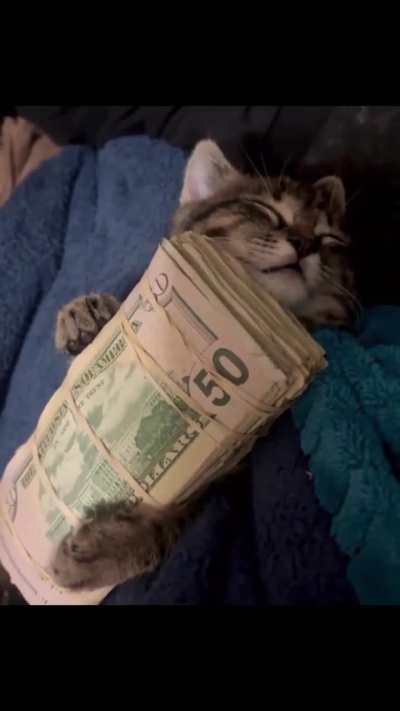 Taking a Power Nap before Gambling