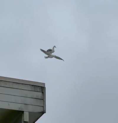 Mirage's Skydive Emote