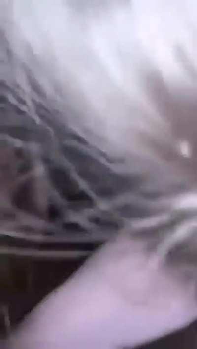 Getting tag teamed by two kings